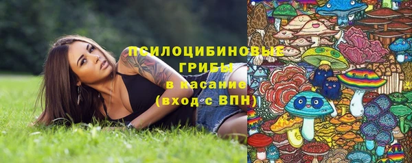 крисы Арсеньев