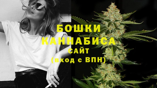 крисы Арсеньев